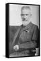 George Bernard Shaw, 1914-George Grantham Bain-Framed Stretched Canvas