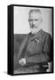 George Bernard Shaw, 1914-George Grantham Bain-Framed Stretched Canvas