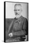 George Bernard Shaw, 1914-George Grantham Bain-Framed Stretched Canvas