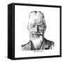 George Bernard Shaw, Irish Playwright, 1926-Brill-Framed Stretched Canvas