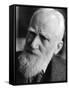 George Bernard Shaw-null-Framed Stretched Canvas