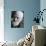 George Bernard Shaw-null-Photographic Print displayed on a wall