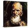 George Bernard Shaw-English School-Stretched Canvas