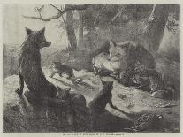 Hippopotamus and Young at the Zoological Society's Gardens-George Bouverie Goddard-Giclee Print