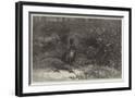 Chelsea Black