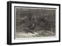 Black Frame