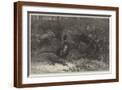 Brown Frame