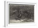 White Frame