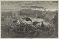 Morning on the Moors-George Bouverie Goddard-Giclee Print