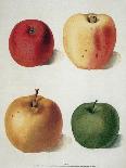 Apples-George Brookshaw-Giclee Print