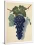 Stretched Canvas