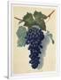 Gramercy White