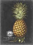 Silver Rock Melon, 1812-George Brookshaw-Giclee Print