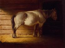 Old Field Horse, by 1856-George Caleb Bingham-Giclee Print