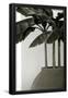 Essential Black