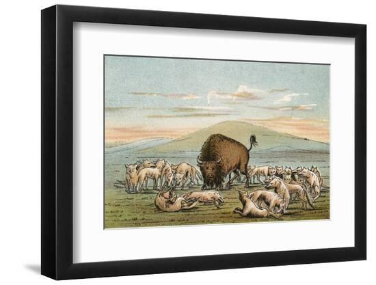 Premium Photographic Print, , large