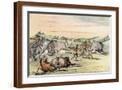 Brown Frame