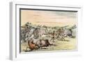 White Frame