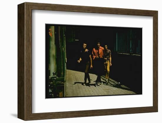 George Chakiris as Bernardo Leads Two Others Into Turf of Rival Gang in West Side Story-Gjon Mili-Framed Photographic Print