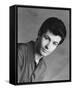 George Chakiris-null-Framed Stretched Canvas