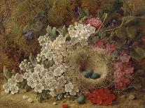 Spring Flowers and a Bird's Nest on a Mossy Bank-George Clare-Giclee Print