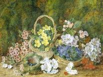 Spring Flowers and a Bird's Nest on a Mossy Bank-George Clare-Stretched Canvas