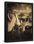 Essential Black