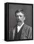 George Du Maurier, British Writer and Artist, C1895-W&d Downey-Framed Stretched Canvas
