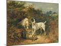 Wood Mount