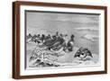 Brown Frame