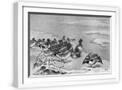 White Frame