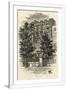 Gramercy White