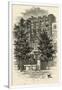 Gramercy White