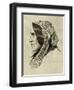 George Eliot.-T. Johnson-Framed Art Print