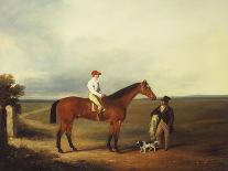 A Racehorse with a Jockey Up, with a Trainer and a Spaniel by a Gate-George Fenn (Attr to)-Stretched Canvas