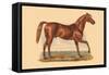 George Frederick-L. Penicaut-Framed Stretched Canvas