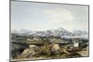 Wood Mount