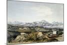 Wood Mount