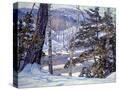 Stretched Canvas