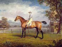 The Duke of Hamilton's Disguise with Jockey Up-George Garrard-Giclee Print