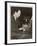 George Gershwin American Composer-null-Framed Photographic Print