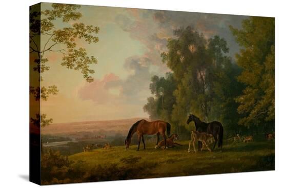 Stretched Canvas Print, , large