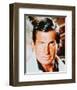 George Hamilton-null-Framed Photo