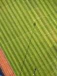 Soccer field-George Hammerstein-Photographic Print