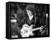 George Harrison-null-Framed Stretched Canvas