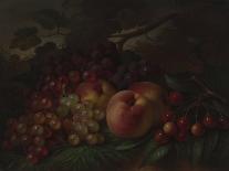 Peaches, Grapes and Cherries, Ca 1860-1870-George Henry Hall-Stretched Canvas