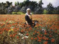 The Poppy Field-George Hitchcock-Giclee Print