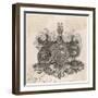 George III's Coat Arms-J. Pars-Framed Premium Giclee Print