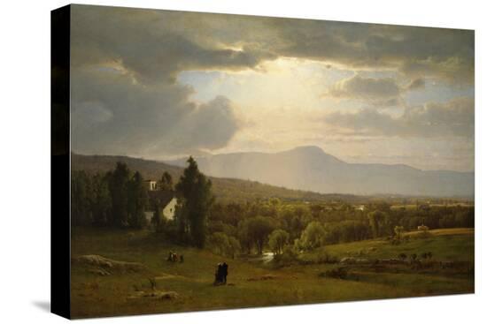 Stretched Canvas Print, , large