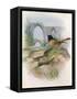 Canvas Black
